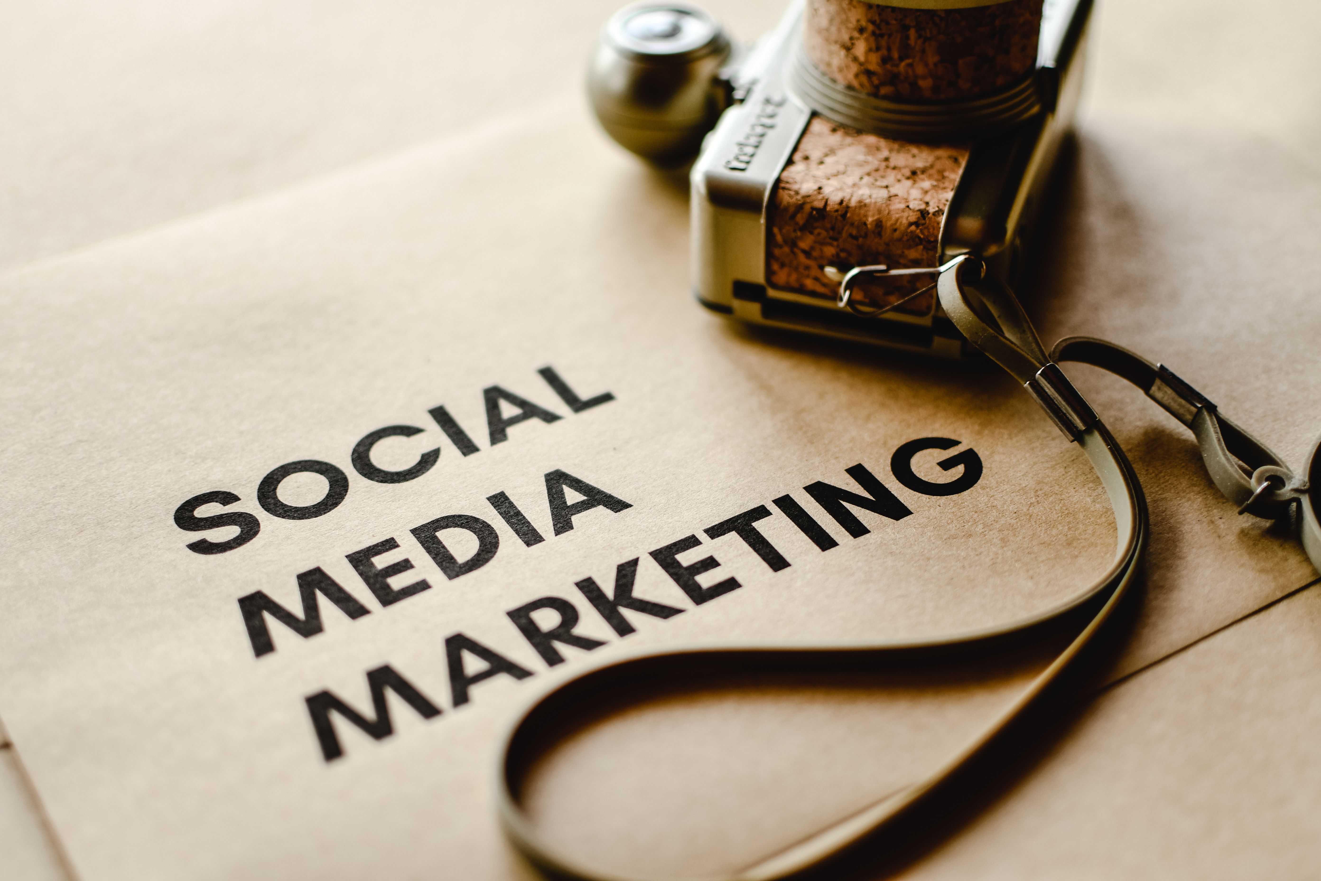 Digital marketing professional reviewing ad campaign performance